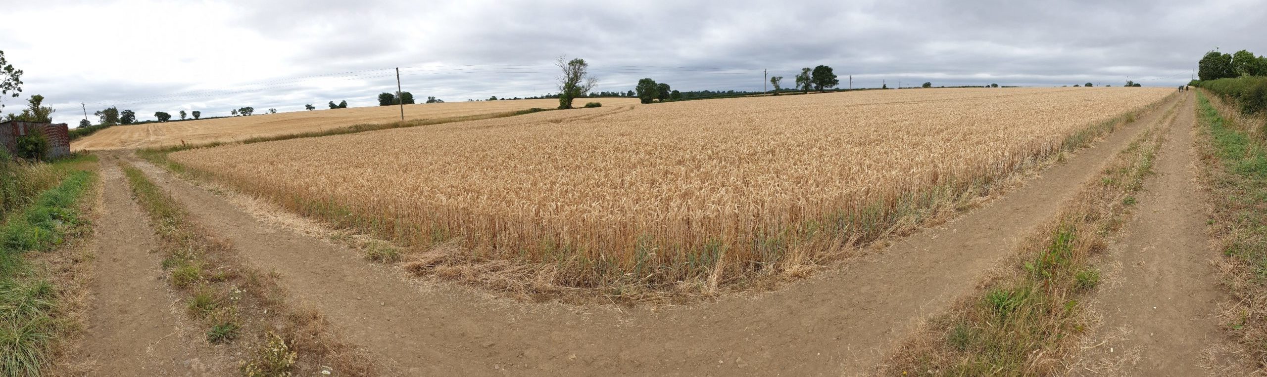 Fields near Shilton farm